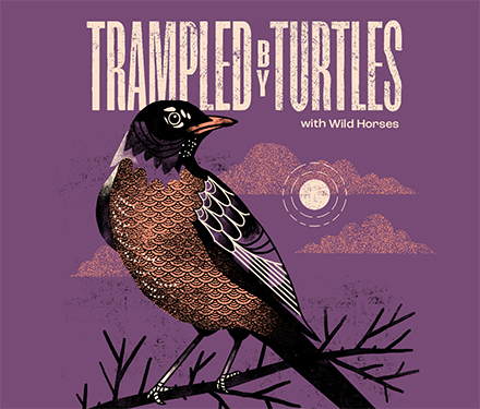 Trampled By Turtles